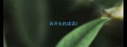 肖开头的成语