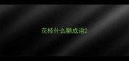 花枝什么颤成语
