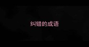 纠错的成语
