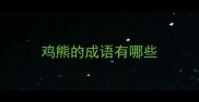 鸡熊的成语有哪些