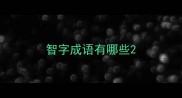 智字成语有哪些