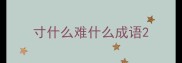 寸什么难什么成语