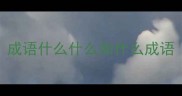 成语什么什么如什么成语