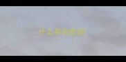 什么有名成语