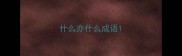 什么亦什么成语