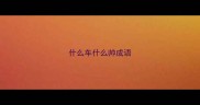 什么车什么帅成语