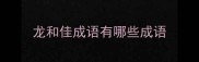 龙和佳成语有哪些成语