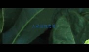 人和言的成语