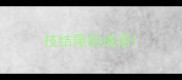 技结尾的成语