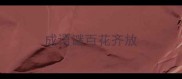 成语谜百花齐放