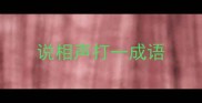 说相声打一成语