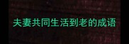 夫妻共同生活到老的成语