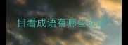 目看成语有哪些成语