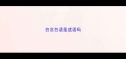 自言自语是成语吗