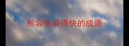 形容鱼游得快的成语