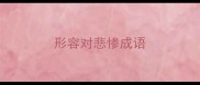 形容对悲惨成语