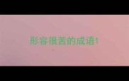 形容很苦的成语