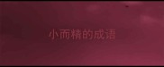 小而精的成语