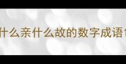 什么亲什么故的数字成语