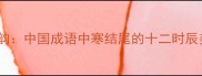 寒字凝墨韵中国成语中寒结尾的十二时辰美学解码