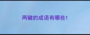 两辙的成语有哪些