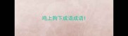 鸡上狗下成语成语