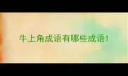 牛上角成语有哪些成语