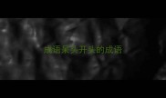 成语呆头开头的成语