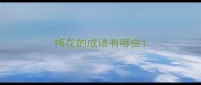梅花的成语有哪些