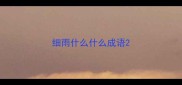 细雨什么什么成语