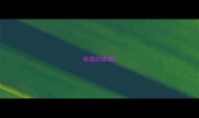 有循的成语