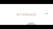 观于动物的成语