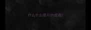 什么什么揽月的成语