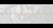 百尺竿头更进一步成语智慧赋能企业成长的三大战略路径