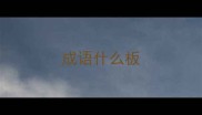 成语什么板