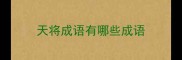 天将成语有哪些成语