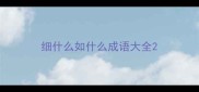 细什么如什么成语大全