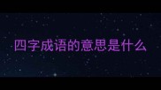 四字成语的意思是什么