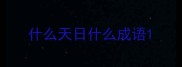 什么天日什么成语