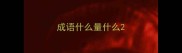成语什么量什么