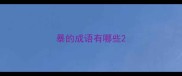 暴的成语有哪些