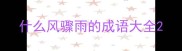 什么风骤雨的成语大全