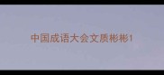 中国成语大会文质彬彬