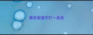 撅屁股望天打一成语