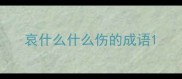 哀什么什么伤的成语