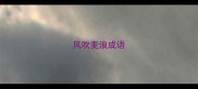 风吹麦浪成语
