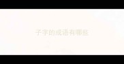 子字的成语有哪些