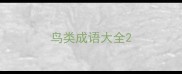 鸟类成语大全