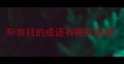 形容目的成语有哪些成语