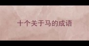 十个关于马的成语